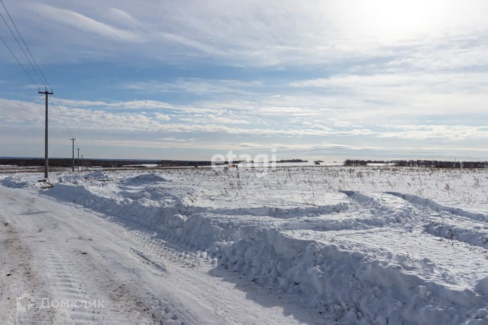 земля р-н Тюменский д Большие Акияры ул Рощинская фото 4