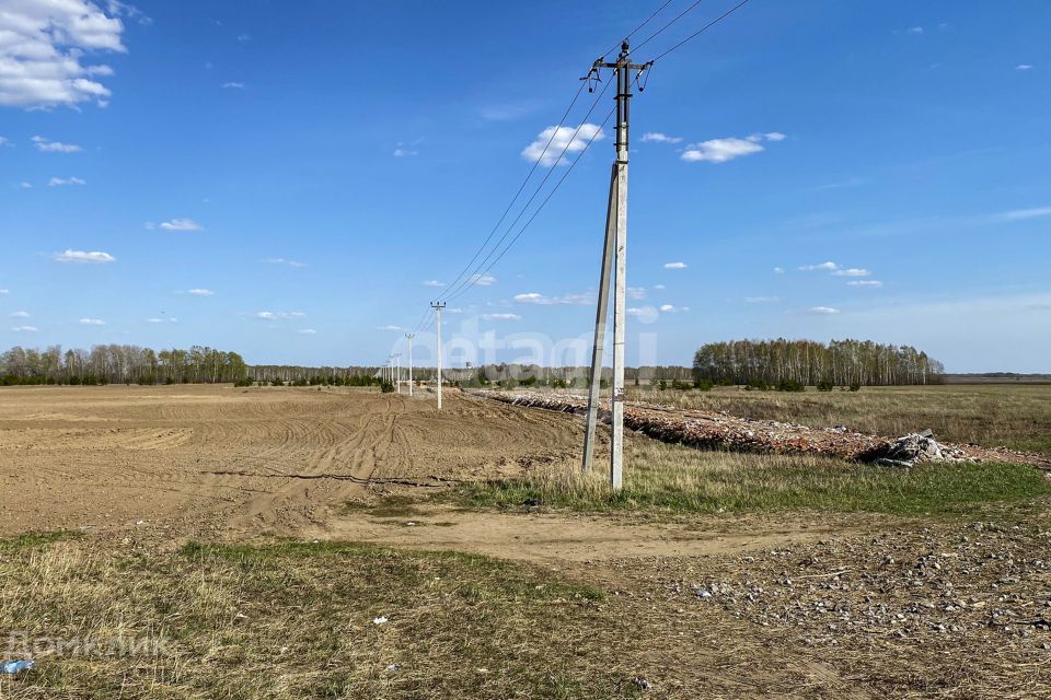 земля р-н Тюменский село Луговое фото 3