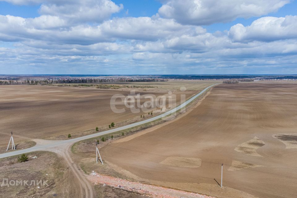 земля р-н Тюменский село Луговое фото 4