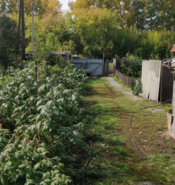 дом г Новоалтайск ул 2-я Заводская 128 городской округ Новоалтайск фото 9