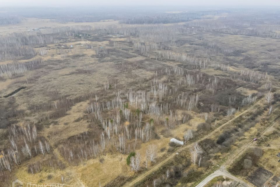 земля р-н Нижнетавдинский садовое товарищество Моторостроитель фото 5