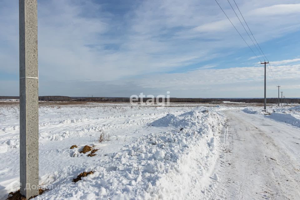 земля р-н Тюменский д Большие Акияры ул Рощинская фото 6