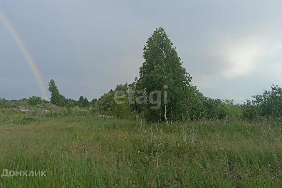 земля г Тюмень снт Сосновая поляна ул 25-я городской округ Тюмень фото 6