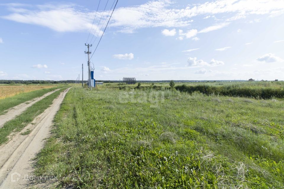 земля р-н Тюменский тер ДНТ Воскресенье 1 ул Тихая фото 7