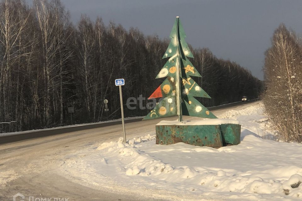 земля р-н Нижнетавдинский село Тюнево фото 6