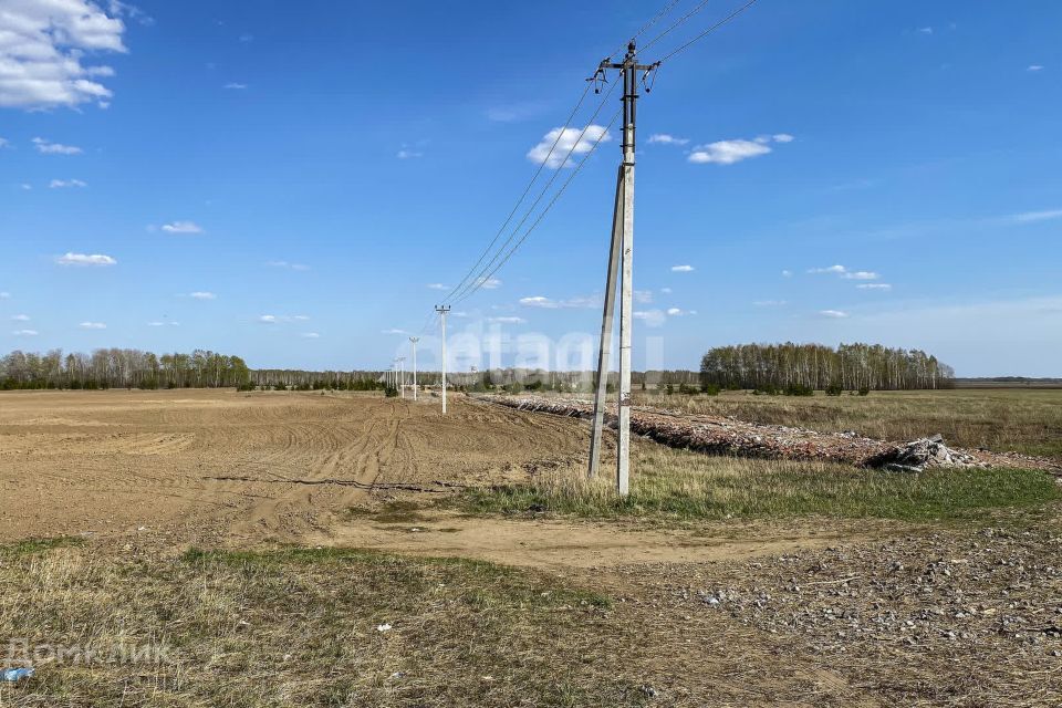 земля р-н Тюменский село Луговое фото 8