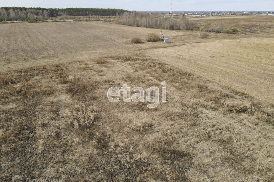 земля р-н Тюменский село Салаирка фото 5