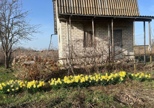 Снежское сельское поселение, территория садоводческого общества Снежка фото