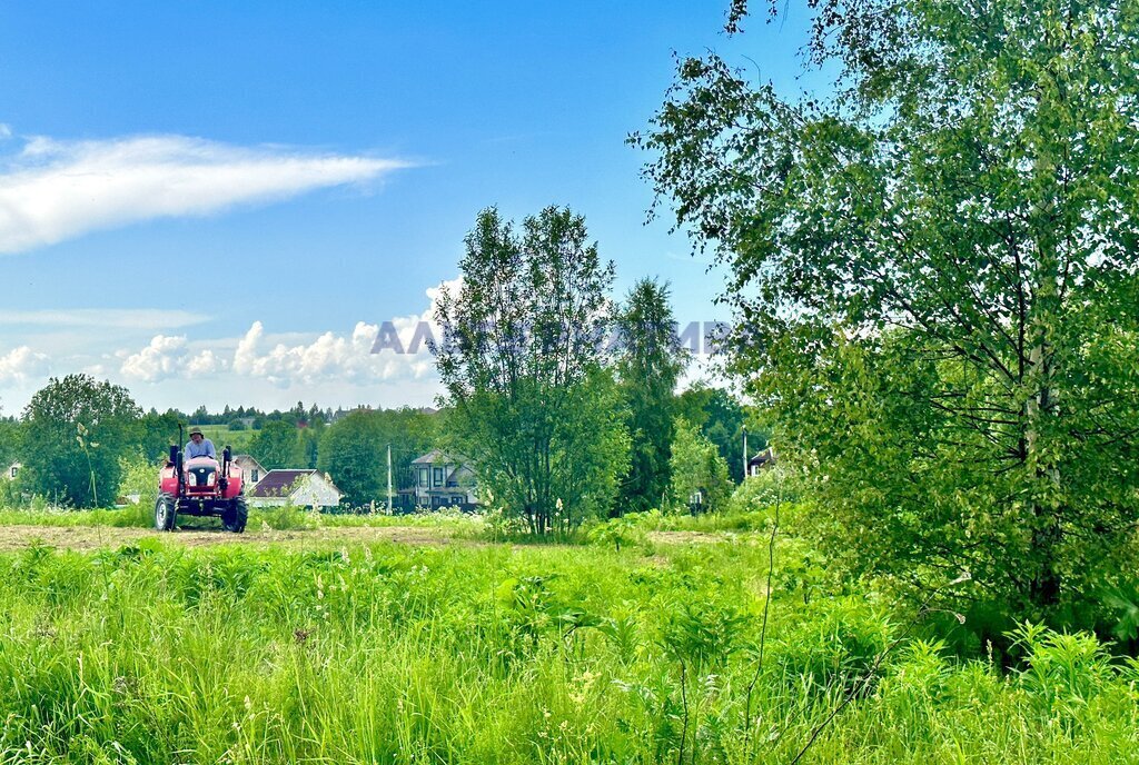 земля городской округ Переславль-Залесский, деревня Большие Сокольники фото 4