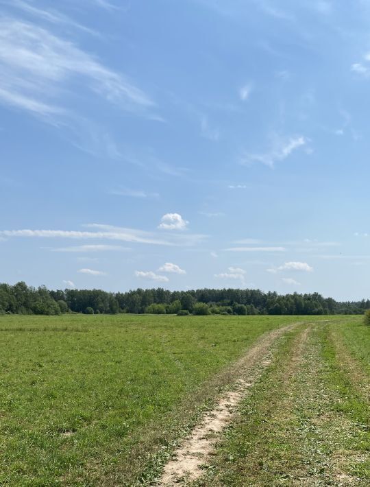 земля Пушкинский городской округ, Калистово кп фото 3