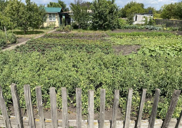 снт Полет Дзержинское сельское поселение, Воронеж фото