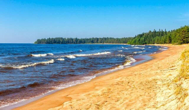 Видлицкое сельское поселение, Ильинский фото