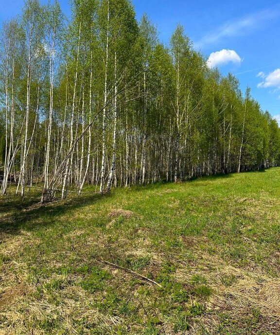 земля городской округ Рузский д Андрейково фото 21