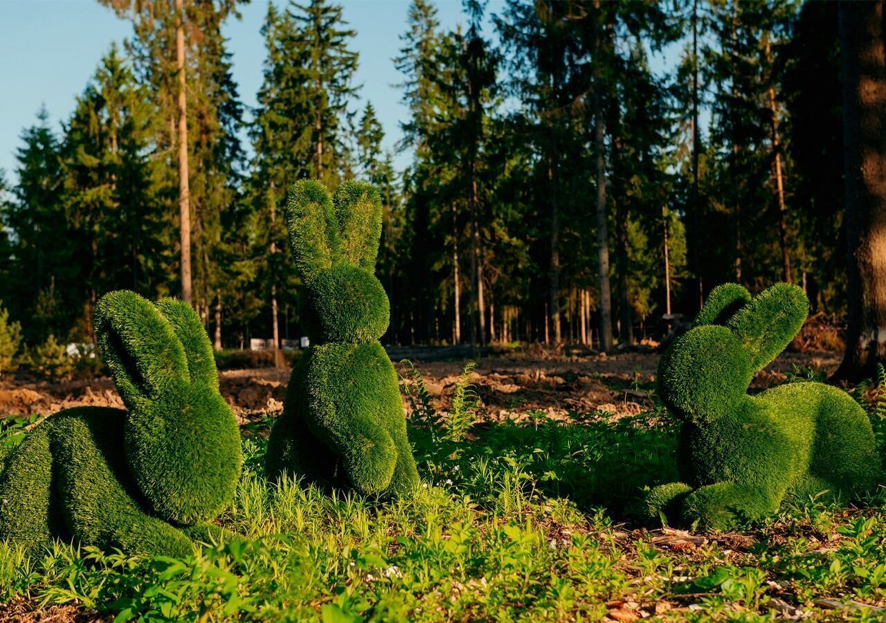 земля городской округ Истра д Буньково Истра фото 7