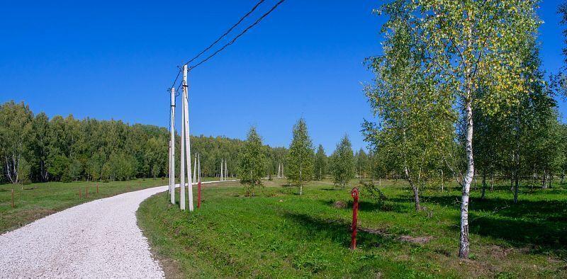 земля р-н Заокский Демидовское муниципальное образование, Любовша кп, 43 фото 4