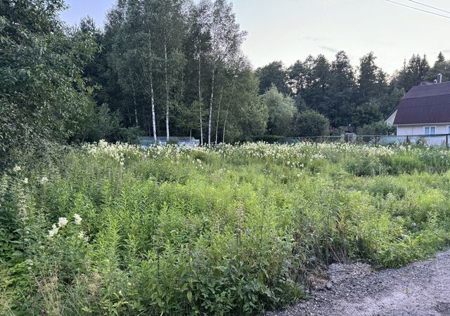 29 км, ул. Садовое кольцо, садоводческое некоммерческое товарищество Прибор, Киевское шоссе фото