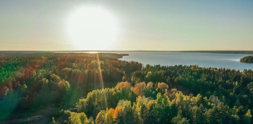 земля р-н Приозерский п Яблоновка с пос, Громовское фото 14