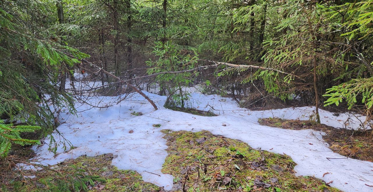 земля городской округ Рузский д Демёнково 73 км, Дорохово, Минское шоссе фото 24