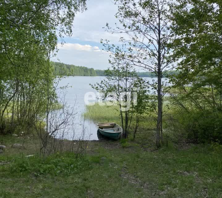 земля р-н Лодейнопольский фото 4