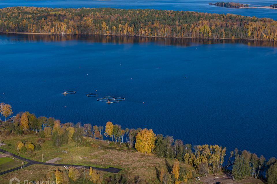 земля р-н Приозерский фото 1