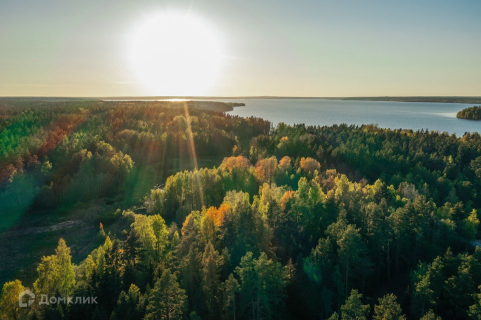 земля р-н Приозерский фото 3