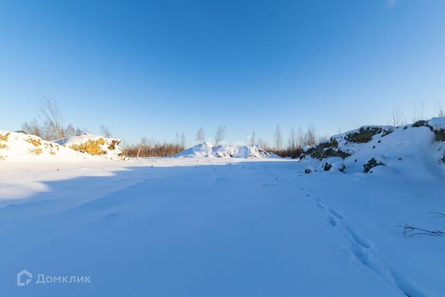 городской округ Тюмень, СНТ Березняки фото