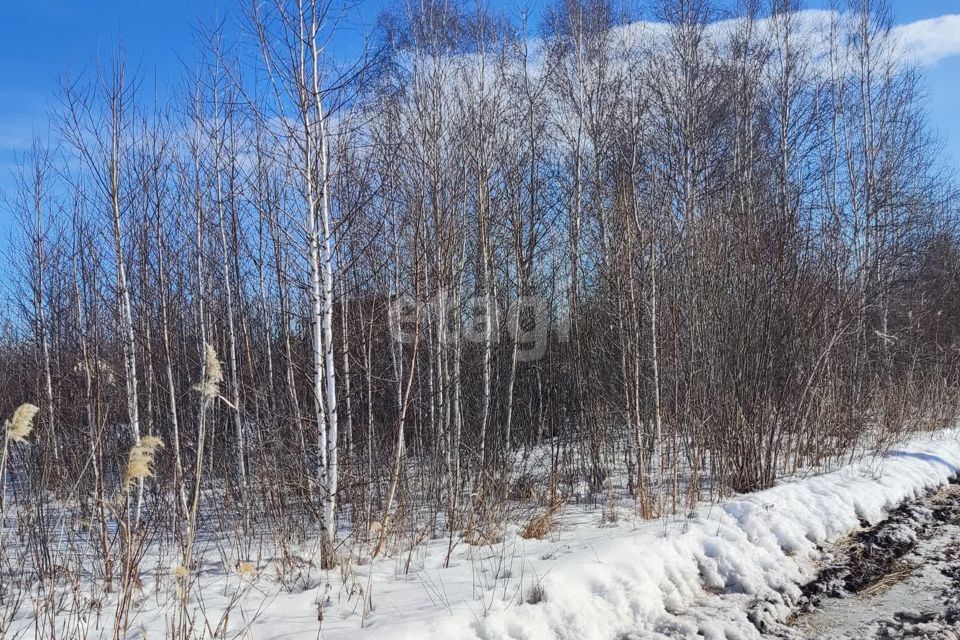 земля г Тюмень снт Светлое городской округ Тюмень, 6-я Степная улица фото 1