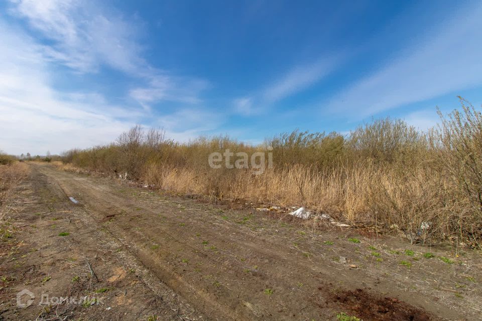 земля г Тюмень снт Матрешка городской округ Тюмень, Елисеевская улица фото 4