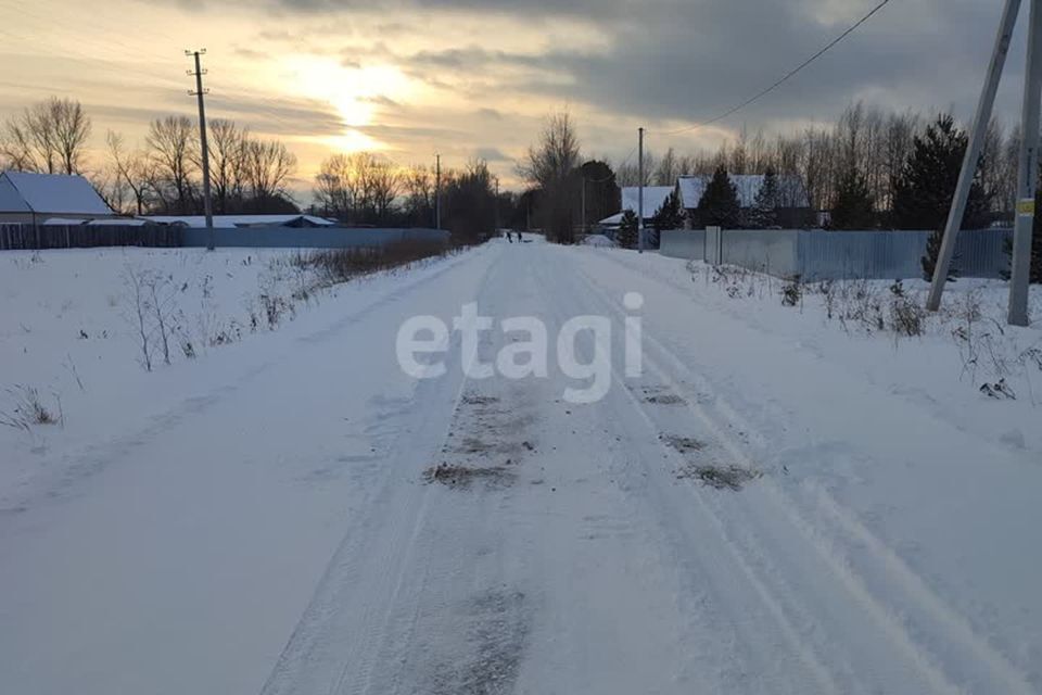 земля р-н Ярковский с Дубровное ул Новая фото 3