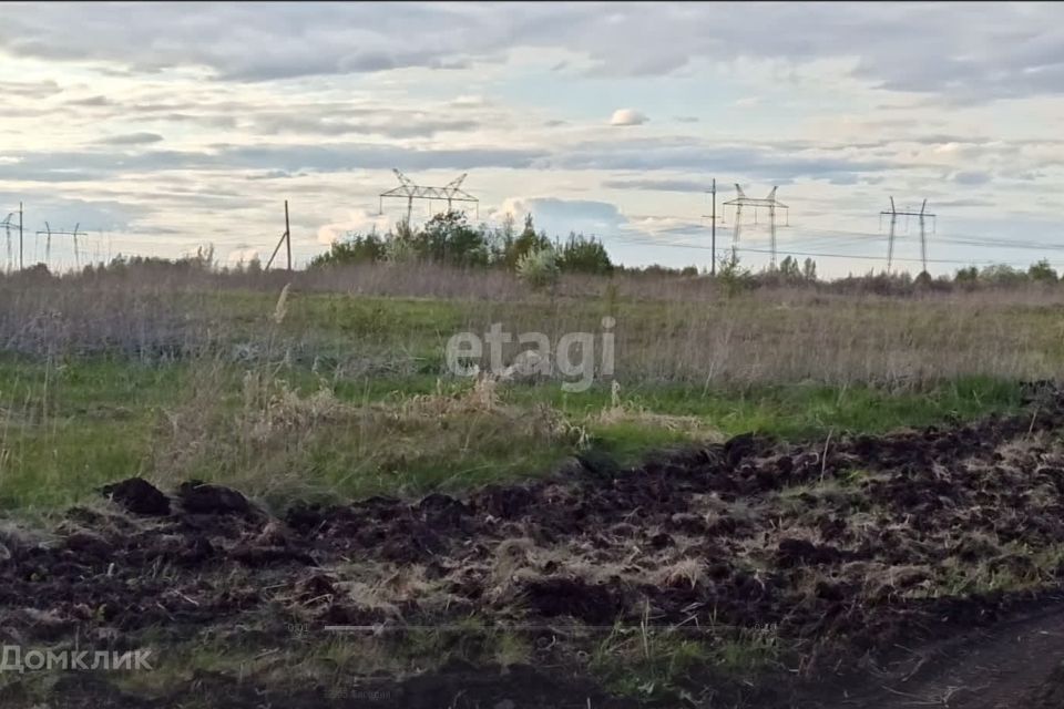 земля р-н Тюменский село Борки фото 4