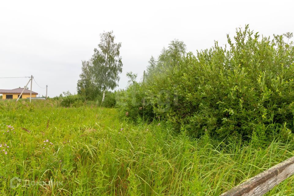 земля г Тюмень снт Липовый остров ул Западная 2-я городской округ Тюмень фото 4