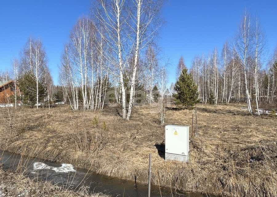 земля р-н Тюменский с Перевалово коттеджный посёлок Родники фото 8