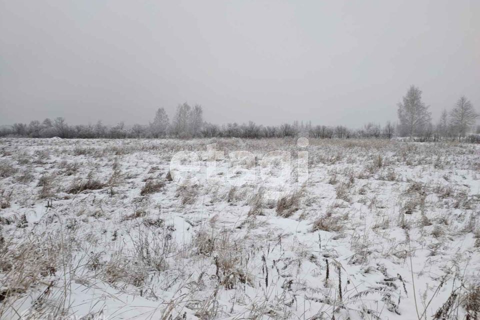 земля г Тюмень городской округ Тюмень, садовое товарищество Лаванда фото 7