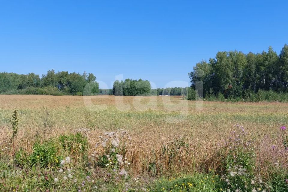 земля р-н Тюменский с Горьковка ул Садовая фото 8