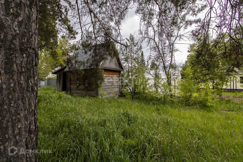 дом р-н Тюменский снт Солнечное ул Грибная фото 7