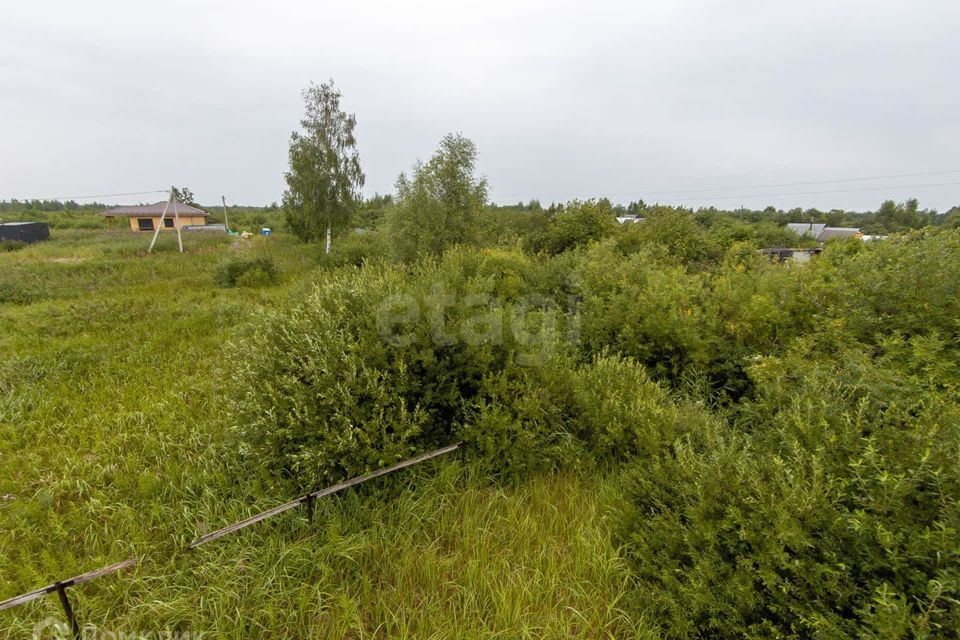 земля г Тюмень снт Липовый остров ул Западная 2-я городской округ Тюмень фото 9