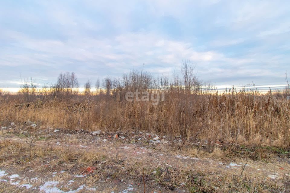 земля г Тюмень снт Матрешка городской округ Тюмень, Листопадная улица фото 5