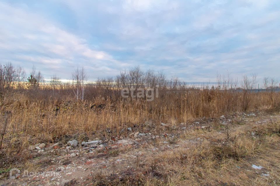 земля г Тюмень снт Матрешка городской округ Тюмень, Листопадная улица фото 8