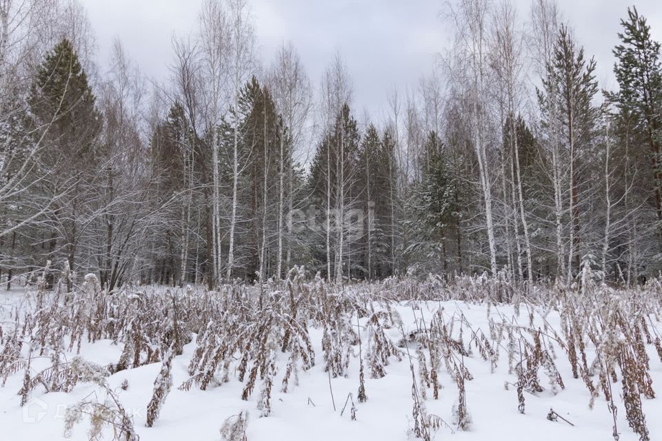 земля р-н Тюменский СНТ Лесное фото 10