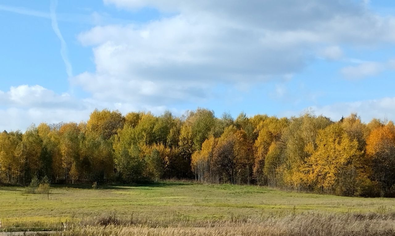 земля городской округ Истра п Глебовский 52 км, пос. Хуторки, г. о. Истра, Волоколамское шоссе фото 14