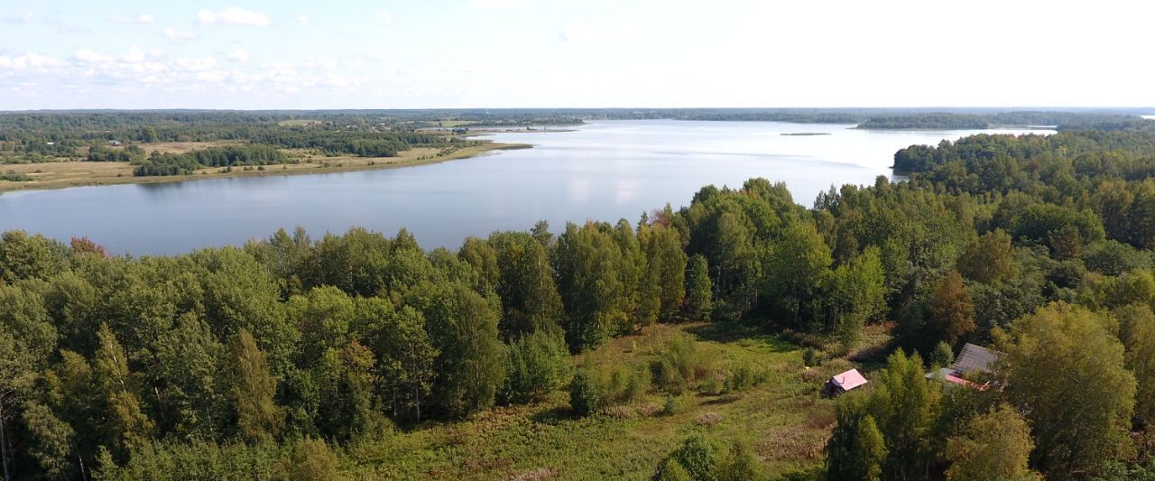 земля р-н Куньинский д Анашкино Жижицкая волость фото 4