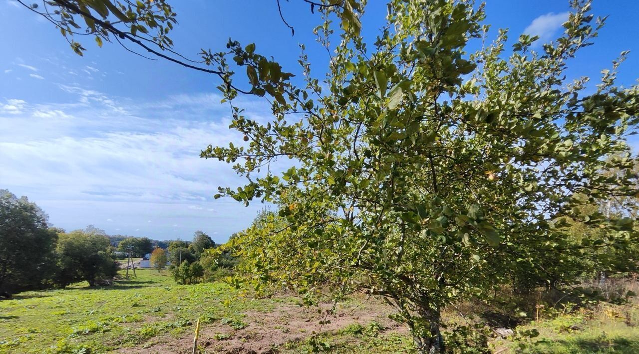 земля р-н Лужский д Владычно с пос, Володарское фото 1