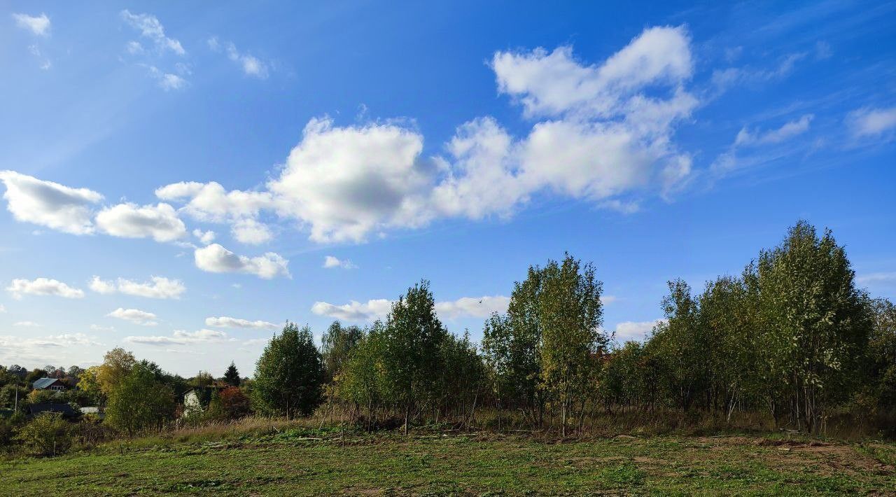 земля р-н Лужский д Владычно с пос, Володарское фото 11