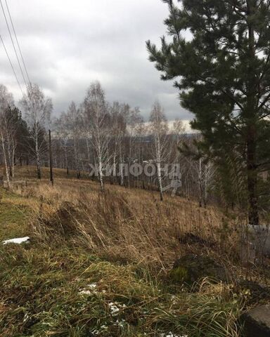 Новолуговской сельсовет, Барышево фото