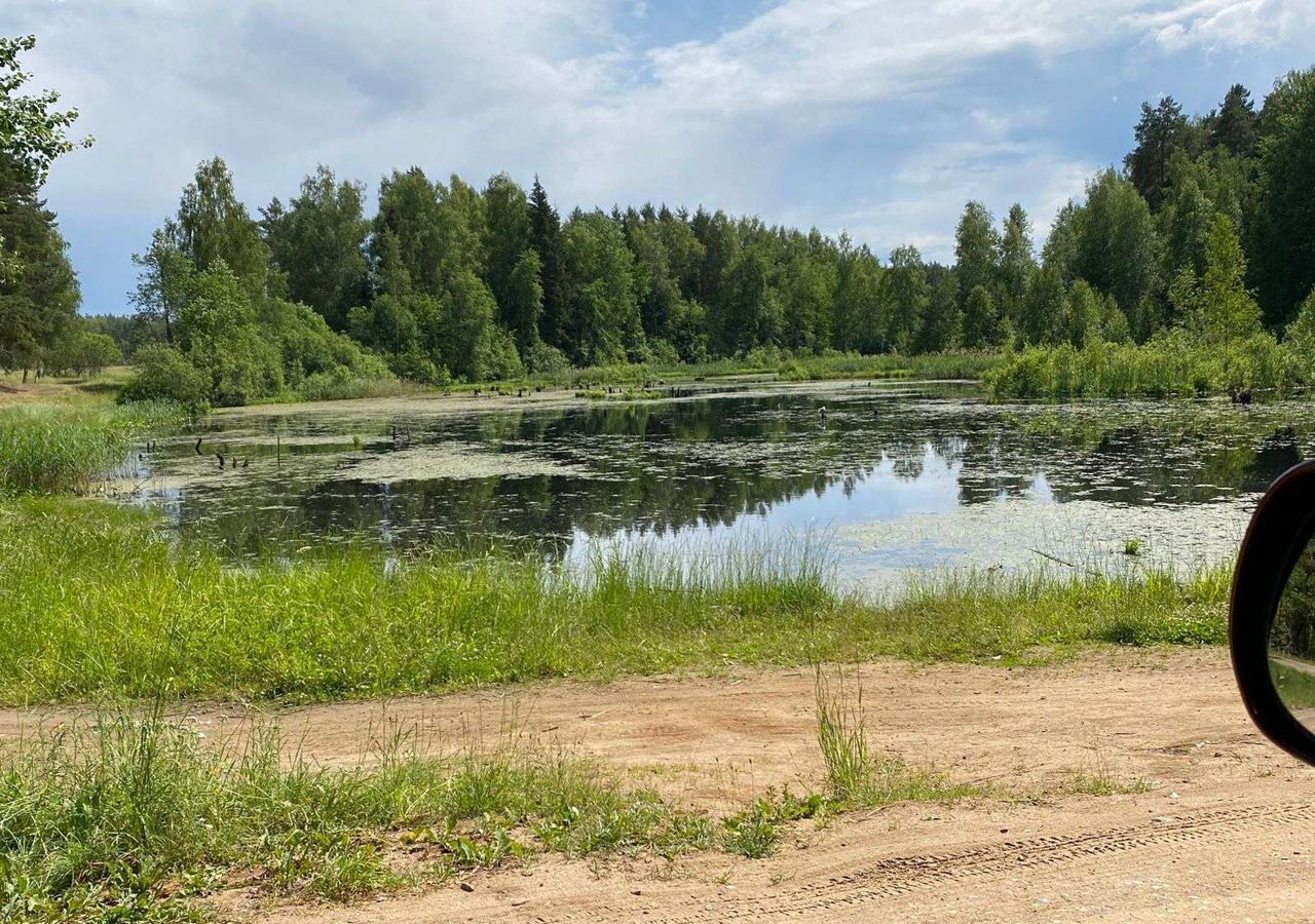 земля р-н Александровский с Махра Ярославское шоссе, 6 км, Карабаново фото 8