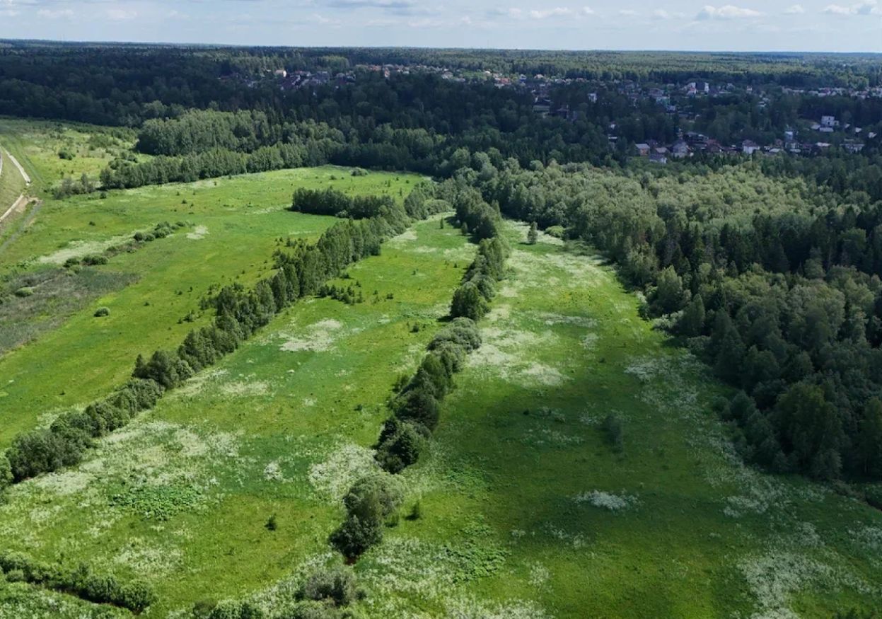 земля городской округ Дмитровский СНТ Озеро Нерское, 38А, Лобня фото 7