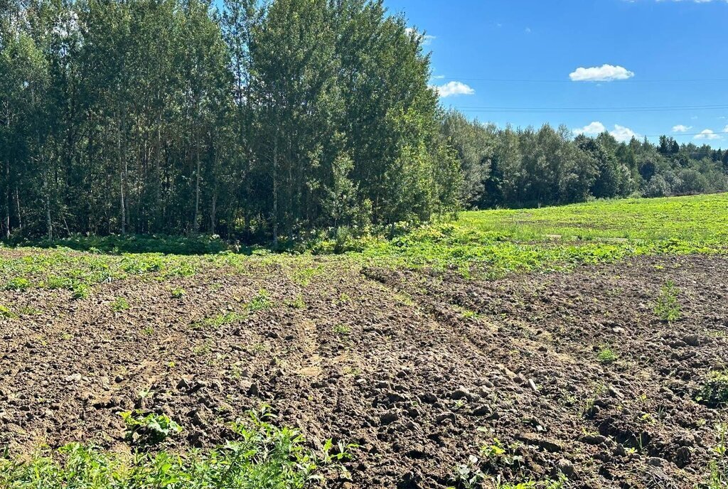 земля городской округ Дмитровский коттеджный поселок «Сорочаны» городской округ Клин фото 3