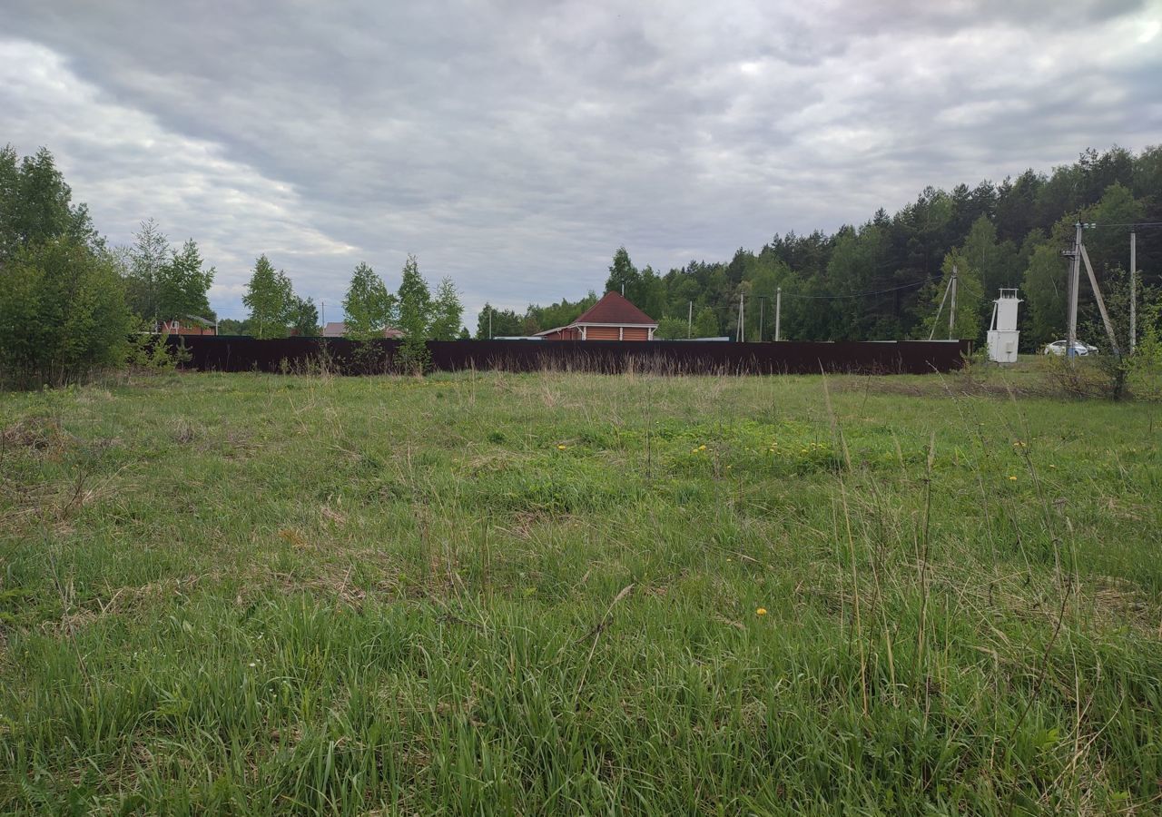 земля городской округ Павловский Посад дп. Ефимово, Дрезна фото 3