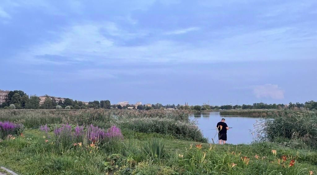 квартира г Санкт-Петербург р-н Невский ул Фарфоровская 7к/1 фото 5