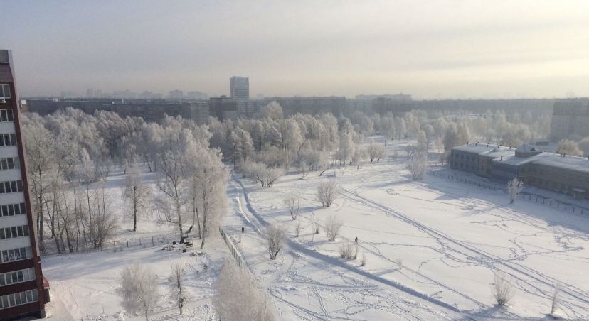 квартира г Барнаул р-н Индустриальный ул Антона Петрова 247б фото 26